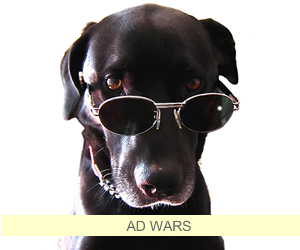 Who will win the NEW online ad wars, Newspapers?